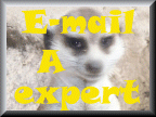 meerkat expert